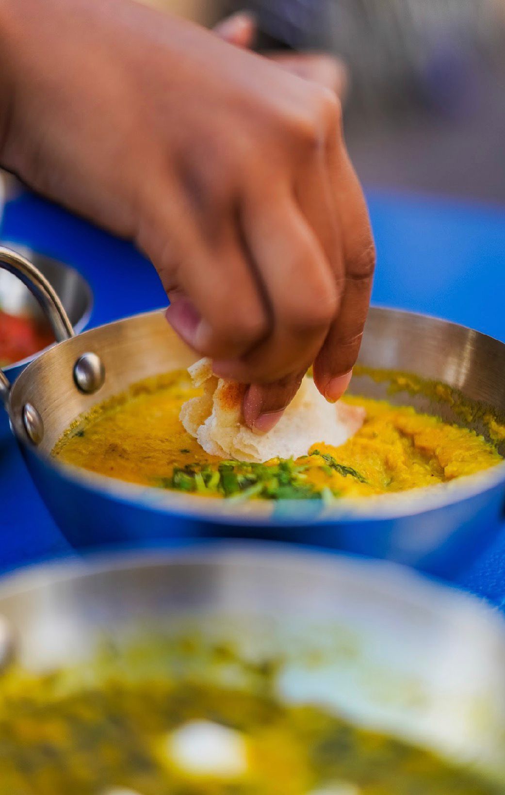 Dégustation de Curry avec Naan - Biriyani accompagnement