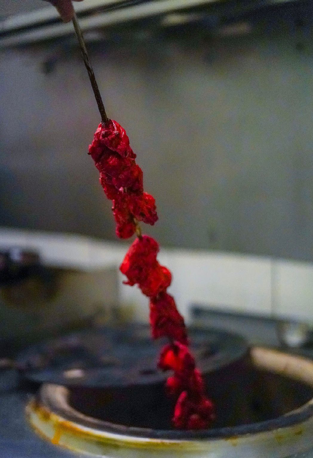 Brochette Tikka grillée au four Tandoor - Spécialité de Preity India Marseille